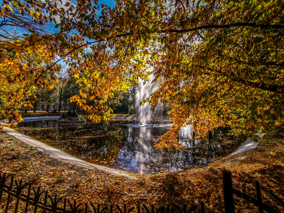 Plac Kościuszki jesień Leszno fontanna jasna